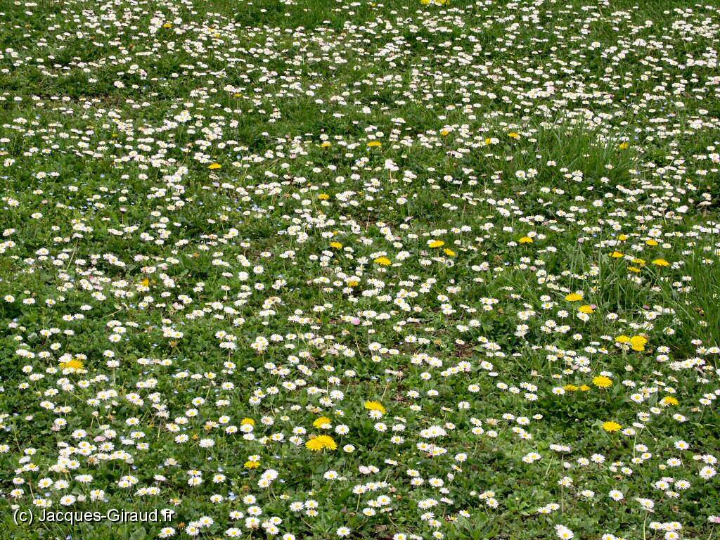 2005-04-15 12-56-32 Avril (x1024).JPG